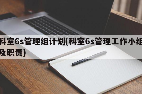 科室6s管理组计划(科室6s管理工作小组及职责)